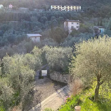 Olive Grove House Apartment Malcesine Exterior photo
