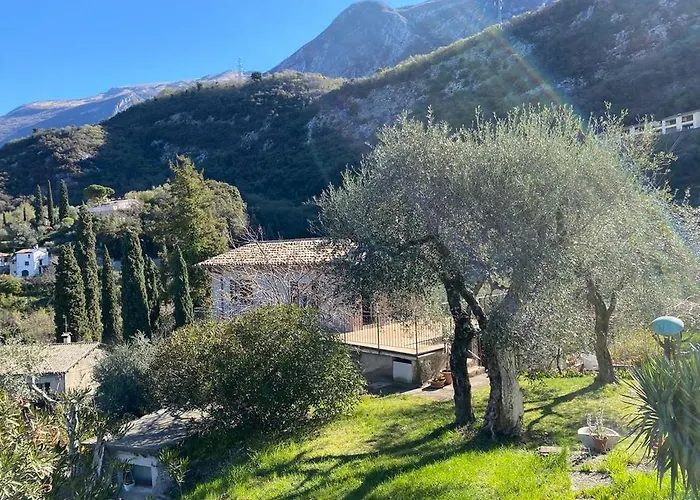 Olive Grove House