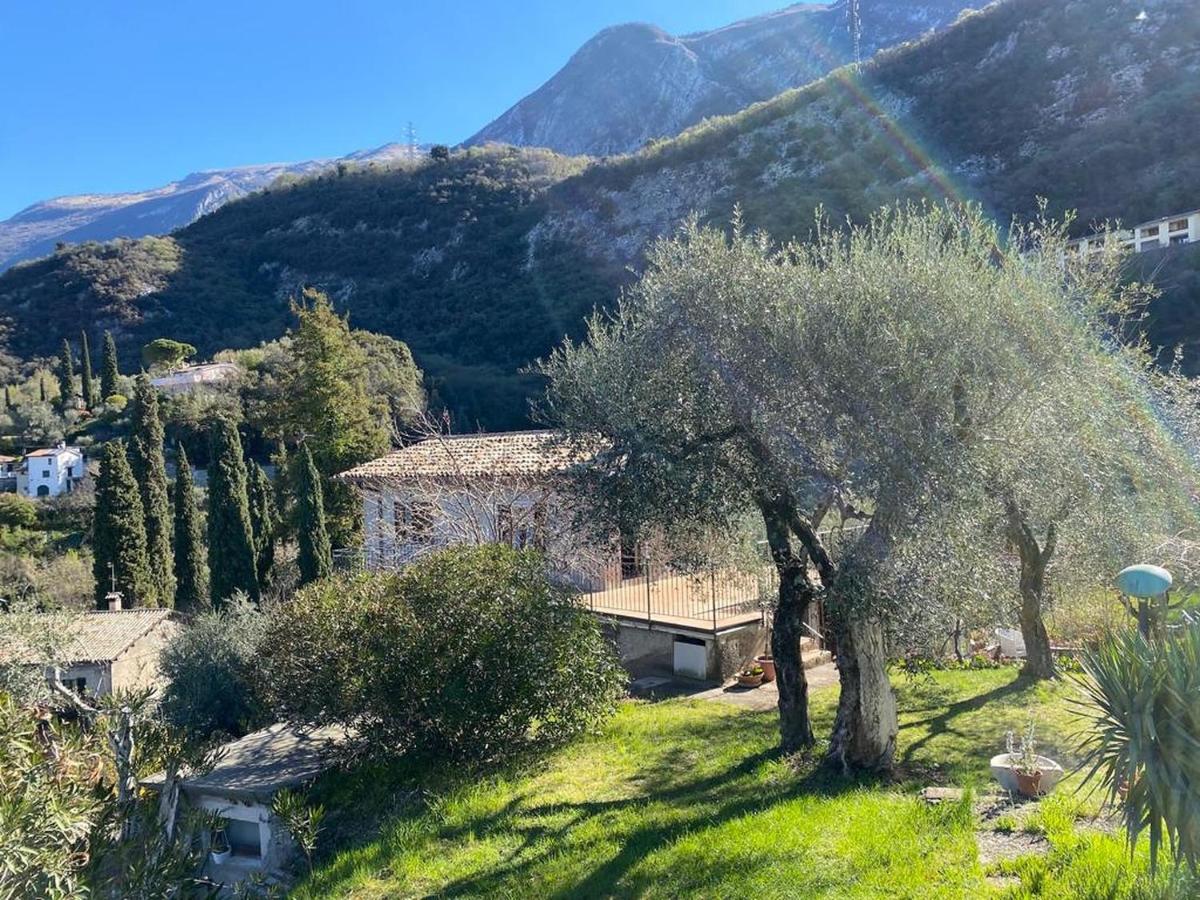 Olive Grove House Malcesine