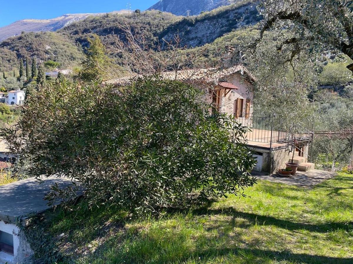 Olive Grove House Appartement Malcesine