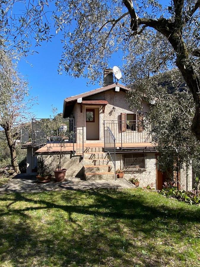 Olive Grove House * Malcesine