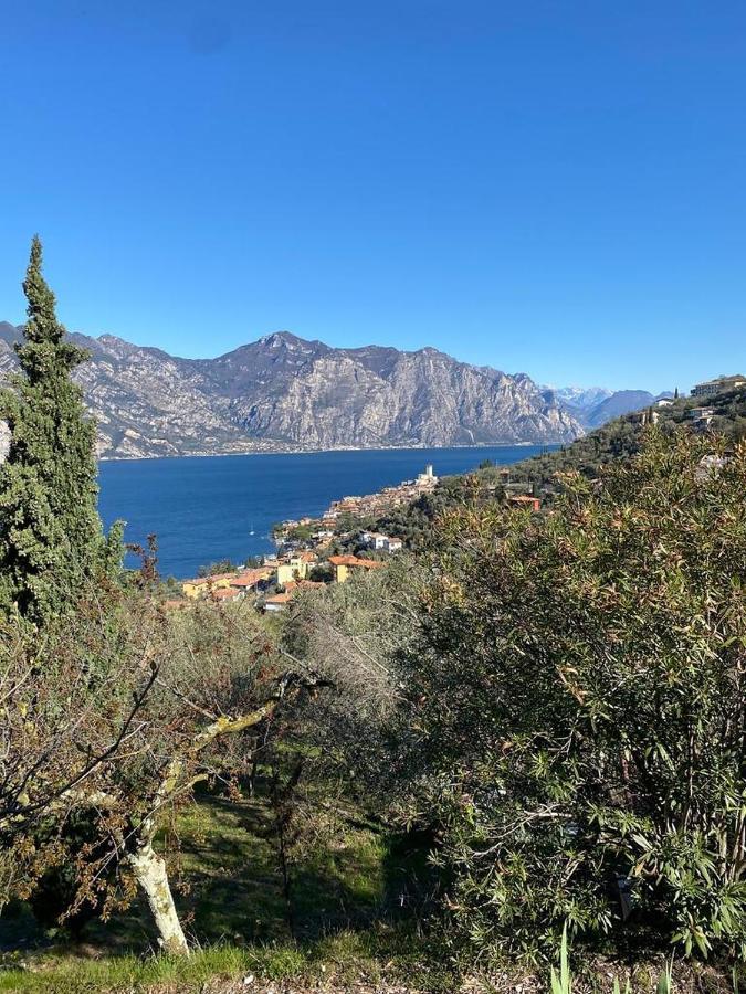 Olive Grove House Appartement Malcesine