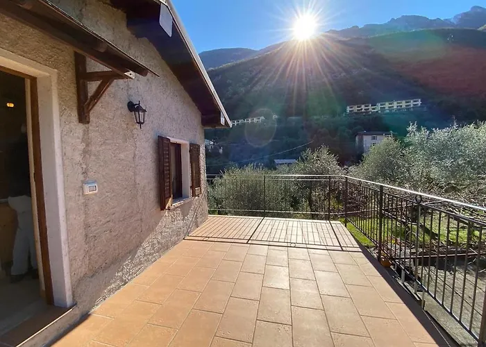 Olive Grove House
