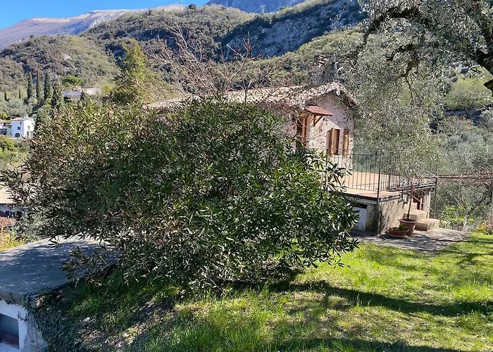 Olive Grove House
