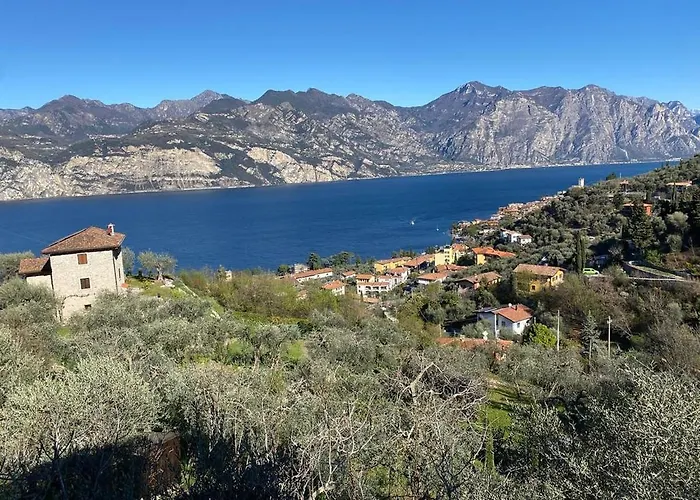 Olive Grove House
