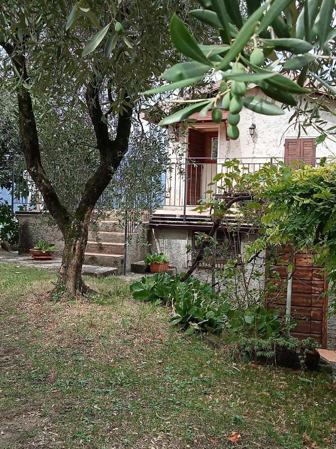 Olive Grove House * Malcesine