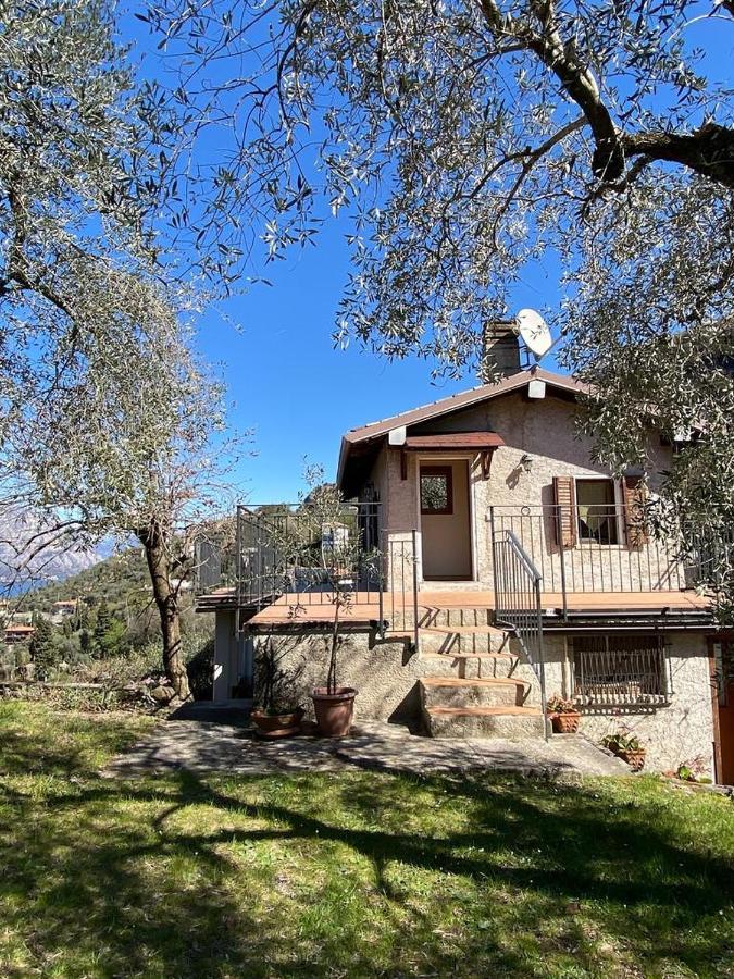 Olive Grove House *