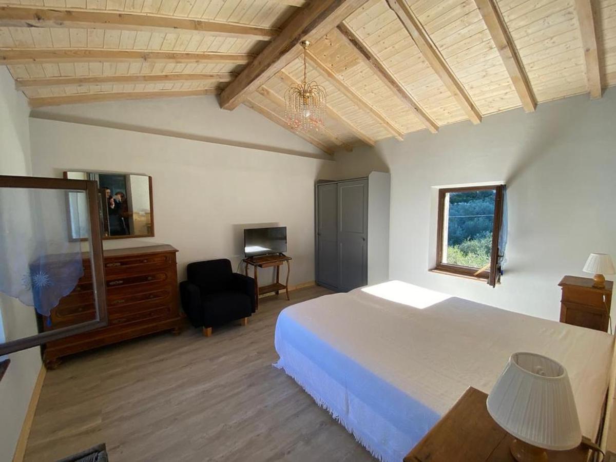 Olive Grove House
