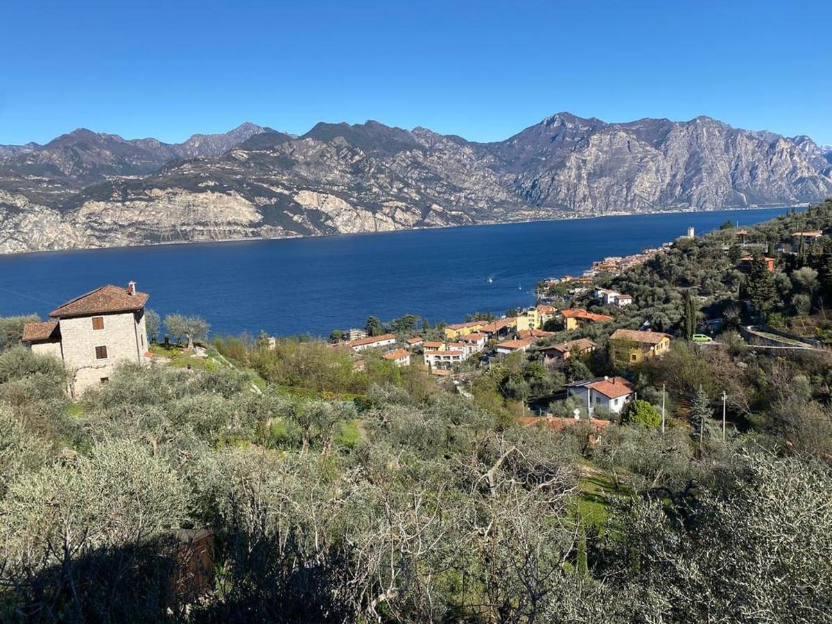 Apartment Olive Grove House Malcesine