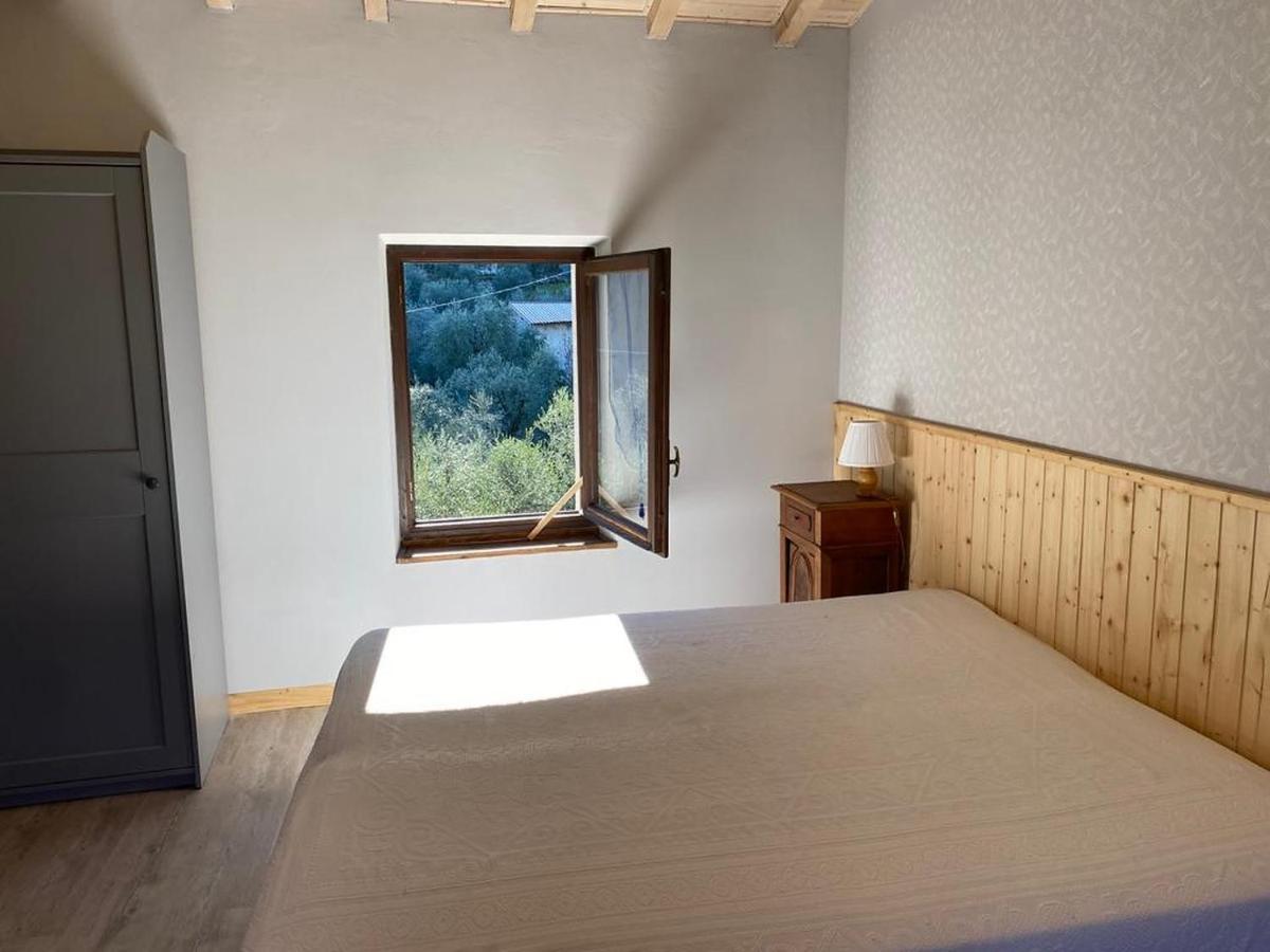 Olive Grove House Apartment