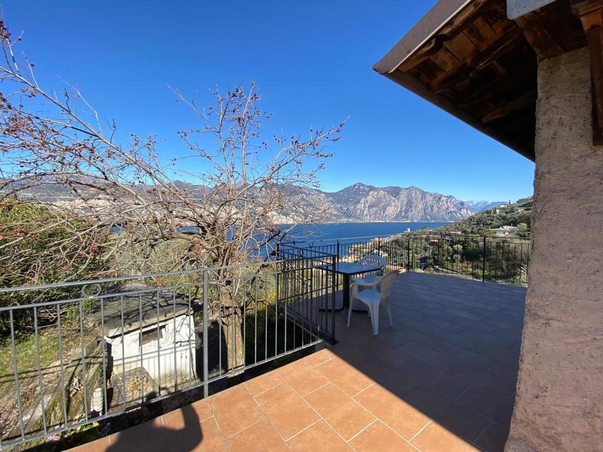Olive Grove House Apartment *